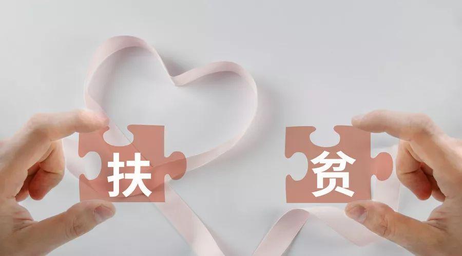 最新玉米新闻全解析，获取与解读步骤指南