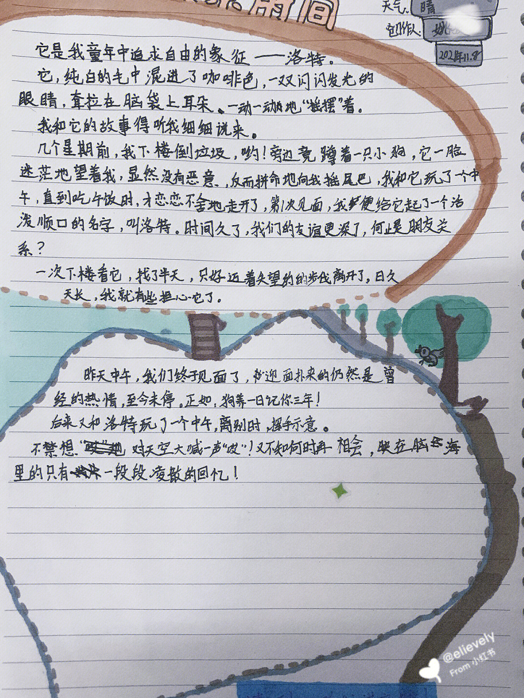 流浪日记最新探索，自然美景的轻松之旅