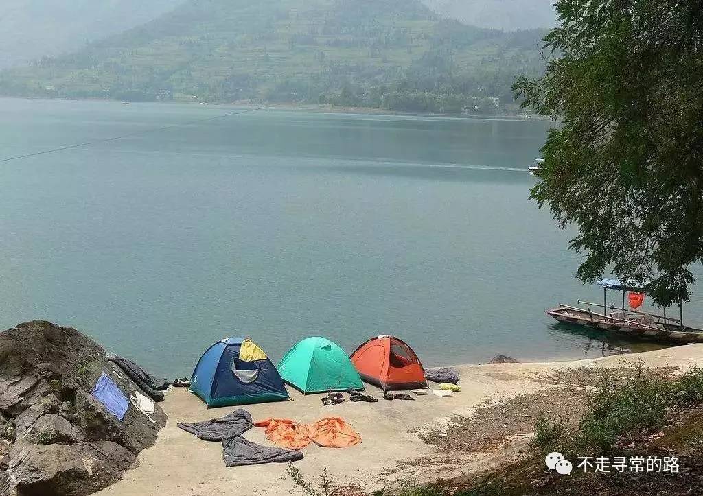 儿童教育 第365页