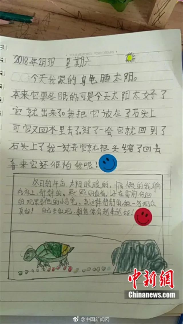 最新幼儿论文，小明的快乐成长日记——探索友情纽带的影响