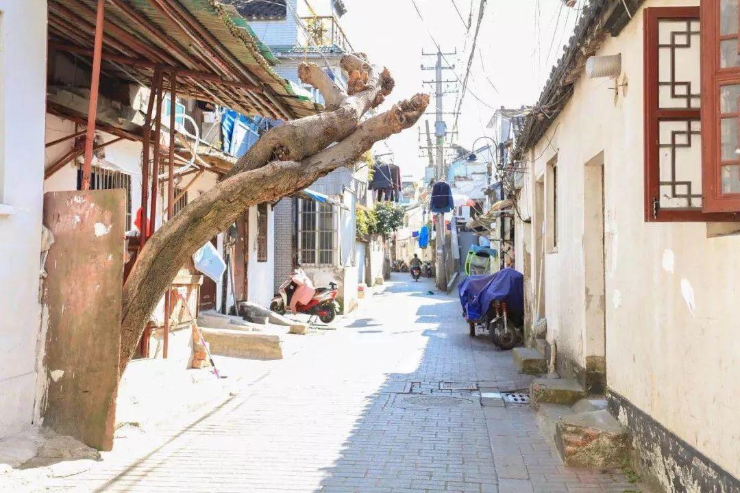 最新培训课件探索，小巷宝藏与独特环境小店故事