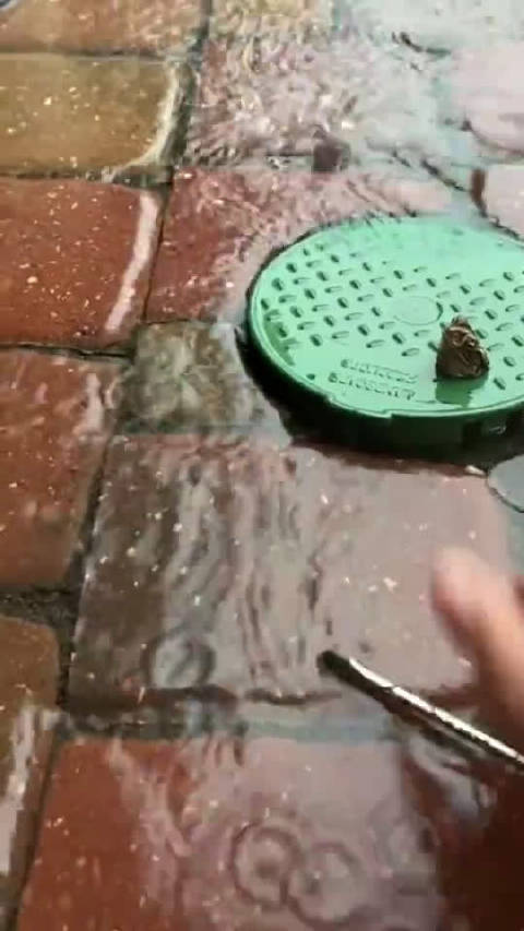 最新防水技术揭秘，雨中奇遇的防水解决方案