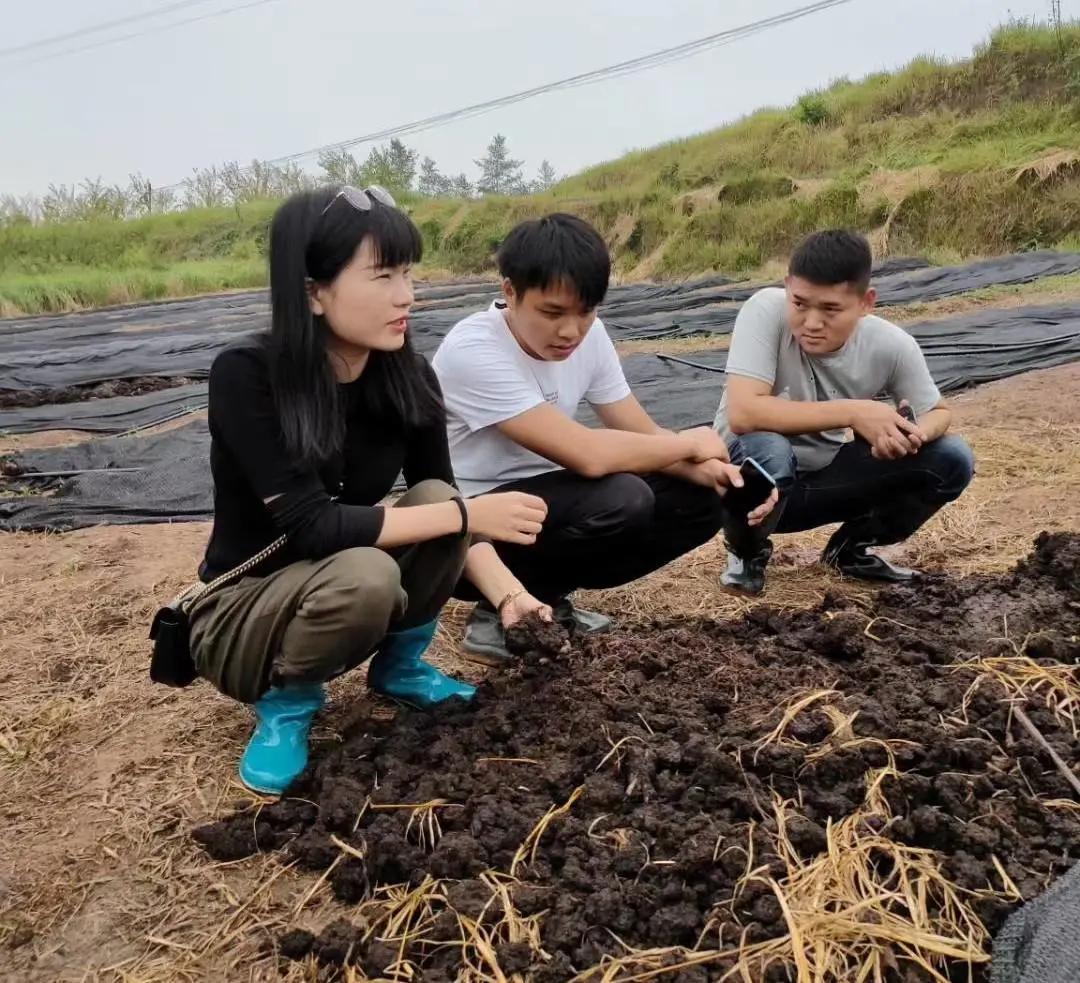 最新鱼粉价格走势揭秘，市场趋势、影响因素与选购指南