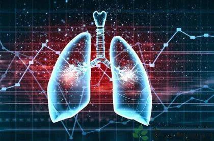 最新医生招聘，心灵与自然的双重旅行，寻找平和医者之路