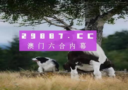 2024新澳门跑狗图今晚特,稳固执行战略分析_艺术版95.773