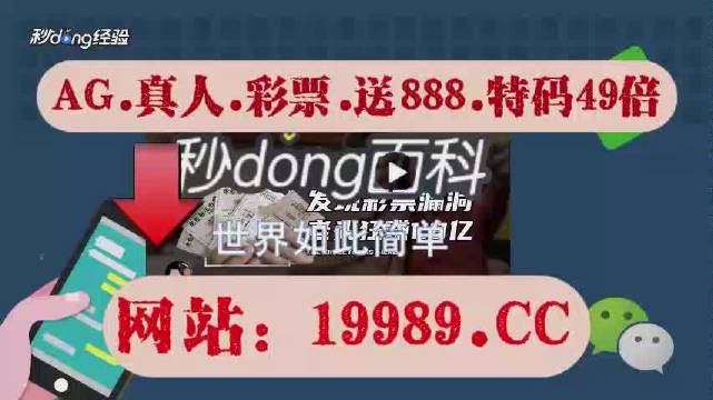 2024澳门天天开好彩大全正版,专业数据解释设想_安静版95.947