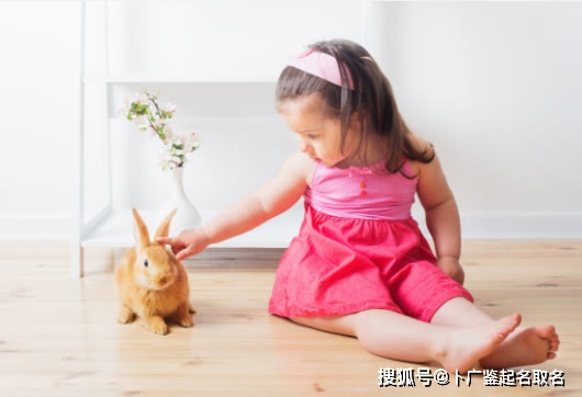 最新小孩名字,最新小孩名字，一段温馨的成长之旅