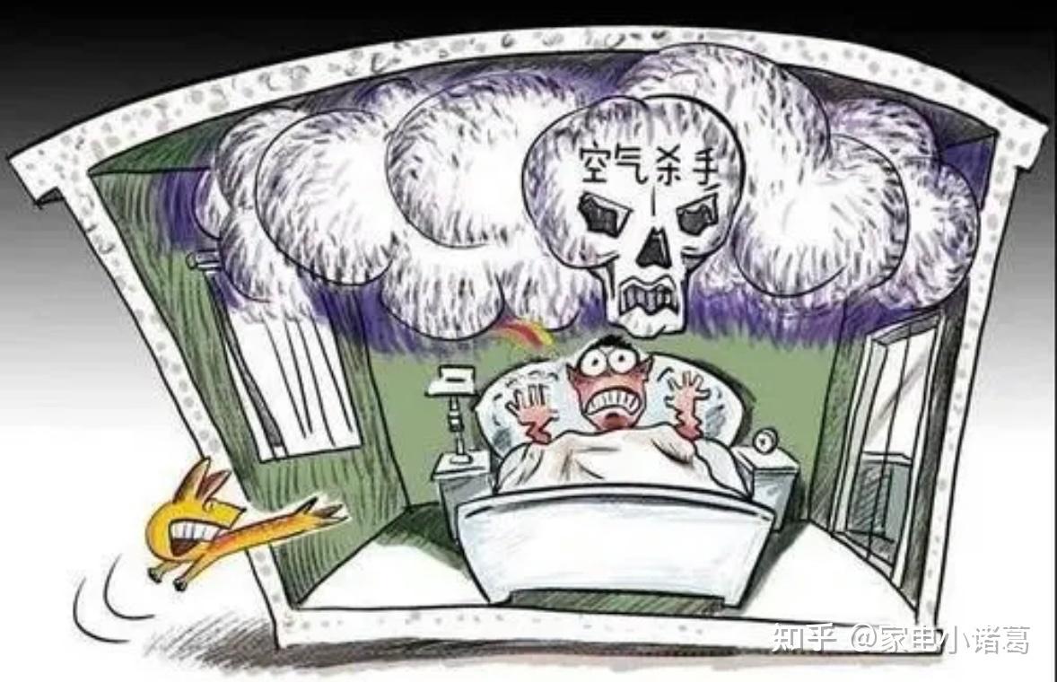最新女毒贩现象，社会深度解析与反思