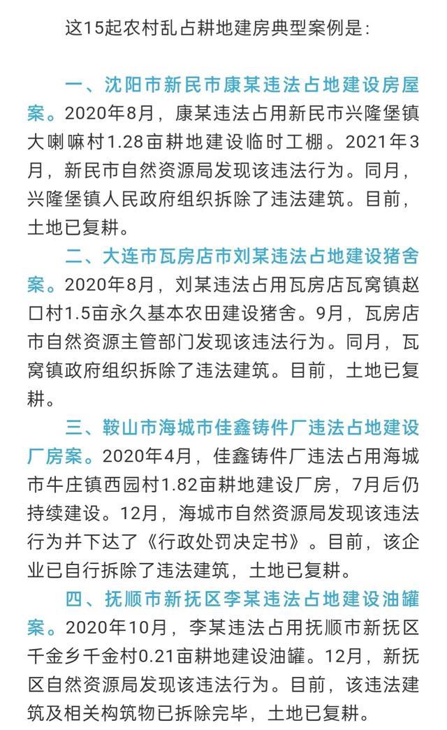 乱占耕地应对指南，最新消息与初学者进阶处理策略