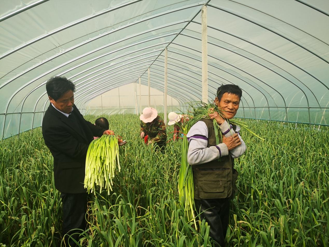 深圳证券交易最新公告与小巷深处的独特风味探秘