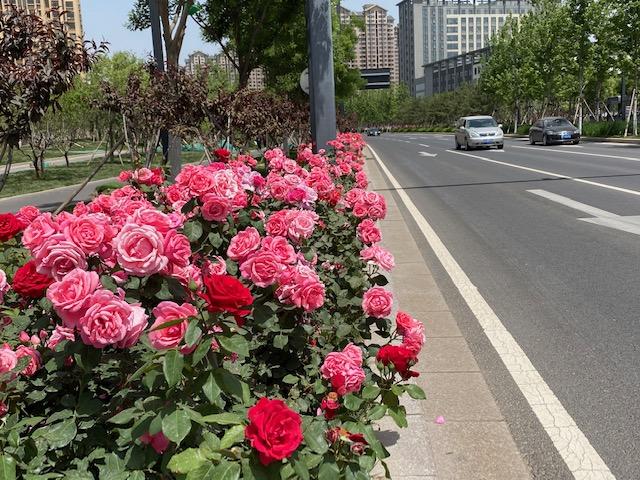 儿童教育 第287页