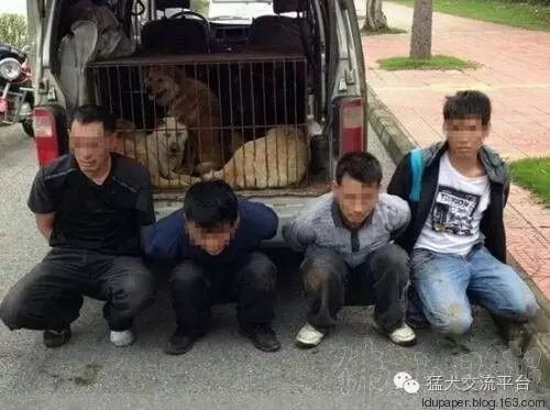儿童教育 第261页
