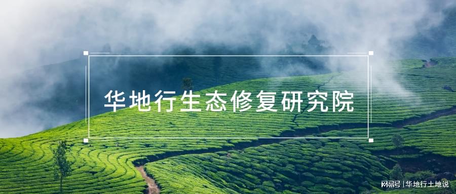 江苏环保行动最新进展，绿意盎然中的日常趣事与环保行动成果展示