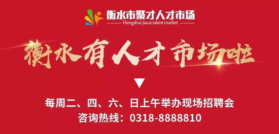 衡东招聘网最新招聘，时代的脉搏与人才的交汇舞台