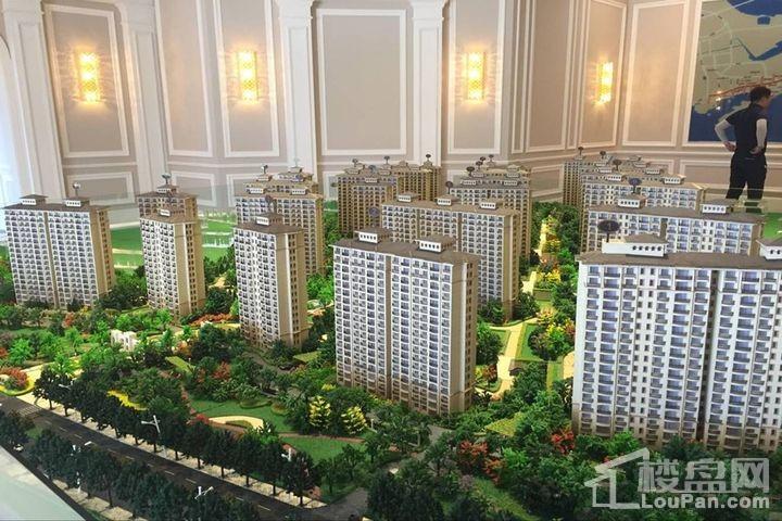 鲁信随珠花园最新楼价，市场走势深度探讨与个人立场观察
