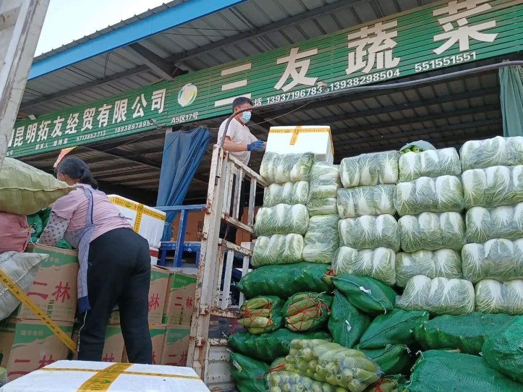 万邦蔬菜批发最新价格概览，蔬菜之旅中的友情与价格发现