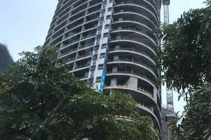 南海长华国际最新动态，友情的温馨日常更新消息